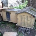 Деякі жителі Тернопільщини мають багато грошей, але не вміють їх берегти