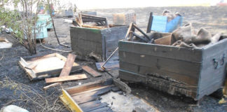 У селі біля Тернополя згоріло 10 маленьких будиночків