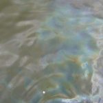 Вода у тернопільському ставі продовжує радувати око усіма кольорами веселки (відео)