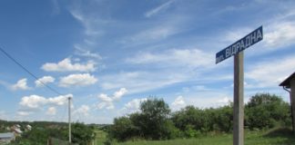 Цікава назва вулиці на дачі поблизу Тернополя викликає багато емоцій (фото)
