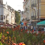 Загальна площа зелених насаджень становитиме 40% від усієї території Тернополя