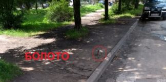 Люди, які переходять цю дорогу у Тернополі, потрапляють у смітник (фото)