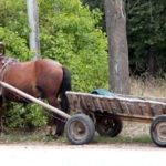 На Тернопільщині чоловіки вирішили: якщо грабувати магазин, то на тачанці