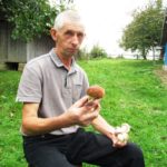 Чому людям на Тернопільщині псуються сушені гриби (фото)