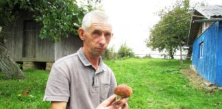Чому людям на Тернопільщині псуються сушені гриби (фото)