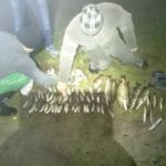 Біля Чорткова ловлять рибу забороненим знаряддям