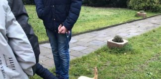 У тернопільській церкві священик на очах у дітей бив ногами собаку