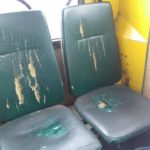 В одній із тернопільських маршруток завелися миші
