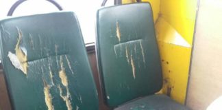 В одній із тернопільських маршруток завелися миші