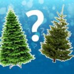 Корисна інформація для тернополян, які не люблять штучних речей