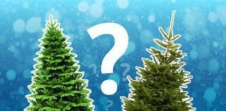 Корисна інформація для тернополян, які не люблять штучних речей