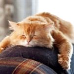 Цього місяця тернополяни зароблять дуже мало грошей