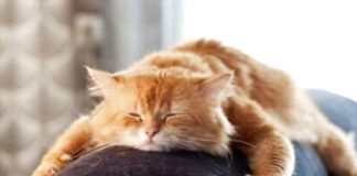 Цього місяця тернополяни зароблять дуже мало грошей