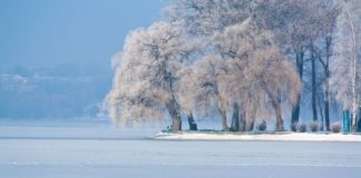 Тернопільські студенти цікавляться, яку рибу можна виловлювати на ставі