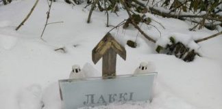 Біля Тернополя уже з’явилося кладовище для тварин (фото)