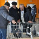 У райцентрі на Тернопільщині гусака хотіли продати за 1,5 тисяч гривень