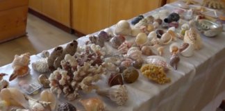 Тернополянка зважилася на вчинок у який важко повірити
