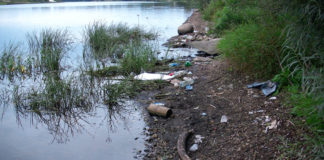 Жителів Тернопільщини просять допомогти очистити береги і дна водойм від пластику