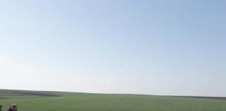 Сусіди із Львівщини чомусь вважають, що Тернопільщина – це смітник (фото)
