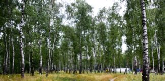 Тернополянин пропонує зберегти ще одну зелену зону нашого міста