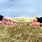 Як тернополянам не стати жертвами рейдерства