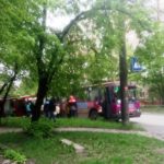 У Тернополі зламався рогатий раритет