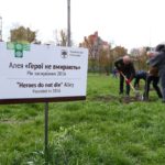 Цієї весни у Тернополі висаджено понад 4000 дерев та кущів