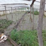 На Тернопільщині від стихії постраждало ще одне село (фото)