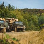 На Тернопільщині у лісі знайшли злодіїв