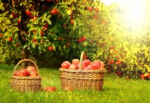 14 серпня жінки згадують дітей, які померли, не народившись