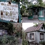 Старі занедбані дачі чи новий парк? Тернополяни голосують за створення нового Smart City парку «Ювілейний»