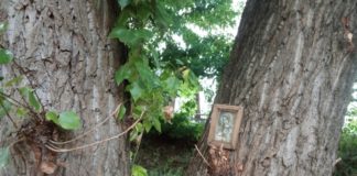 Тернополяни настільки духовні, що вішають ікони у найнесподіваніших місцях