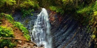 Де на Франківщині є чотири водоспади, які варто відвідати (фото)