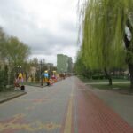 На цих фото можна побачити яким має бути справжній карантин у Тернополі