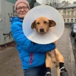 На Тернопільщині для собаки, яка вже знає, що таке людська жорстокість, знайшли домівку (фото)