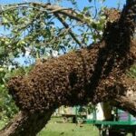 На Тернопільщині чоловіка вбили ті, хто мав би лікувати