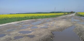 Де на Тернопільщині є дорога, на якій можна розводити рибу (фото)