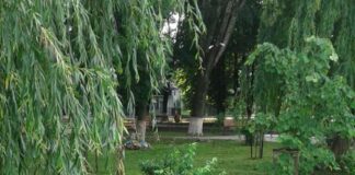 У місті на Тернопільщині люди скаржаться на невиховану молодь