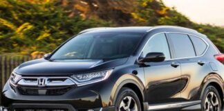 На Тернопільщині два чоловіки за любов до машин «Honda» сядуть у в’язницю