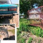 На Тернопільщині через п’яного водія ледь не постраждала дворічна дитина (фото)