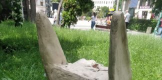 У Тернополі більше не буде легендарного бару “Коза”