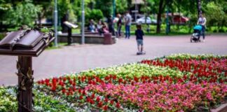 З початком літа Хмельницький перетворився на місто квітів (фото)