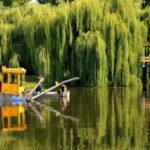 У Тернополі почали реалізацію комплексної програми очистки Ставу