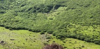 Відомий український співак, який втомився від політики, відпочиває у Карпатах (фото)