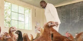 У Тернопільській ОДА хочуть перетворити школи на курники?