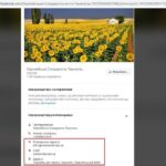 Тернопільські політики розпочали війну у соцмережах