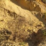 На Тернопільщині люди рятували чоловіка, якого засипало піском
