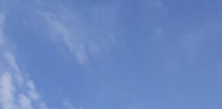 Рекламний білборд голови Тернопільської ОДА опинився у смітті
