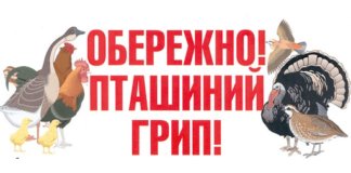 У тернопільському зоокутку через пташиний грип гине птиця
