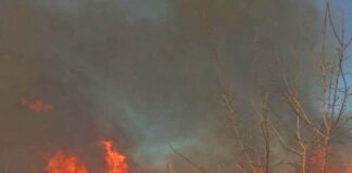 Через спалювання трави на Тернопільщині ледь не згоріла АЗС